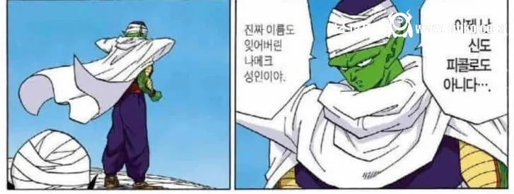 새로운 밈이 생겨버린 드래곤볼 캐릭터