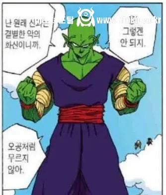 새로운 밈이 생겨버린 드래곤볼 캐릭터