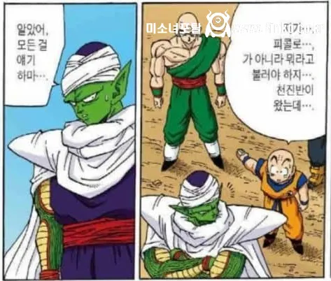 새로운 밈이 생겨버린 드래곤볼 캐릭터