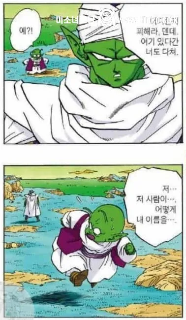 새로운 밈이 생겨버린 드래곤볼 캐릭터