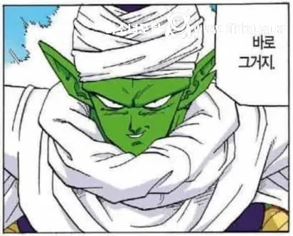 새로운 밈이 생겨버린 드래곤볼 캐릭터