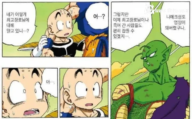 새로운 밈이 생겨버린 드래곤볼 캐릭터
