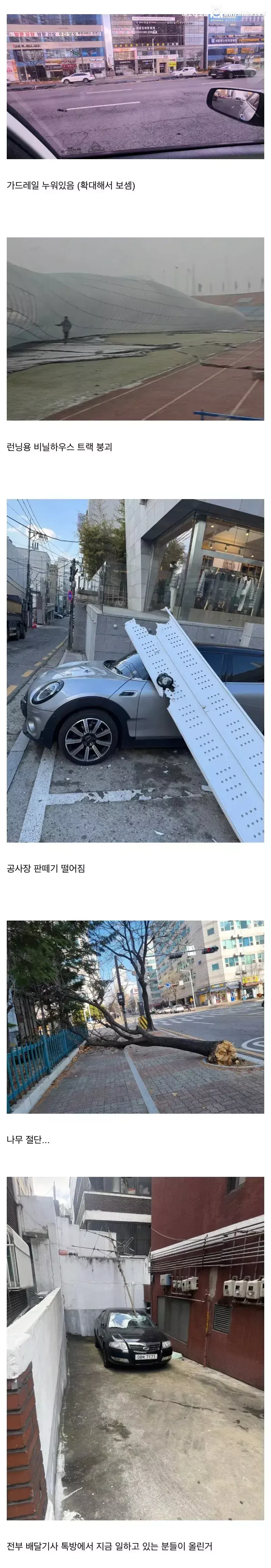 어제 불었던 강풍의 위력