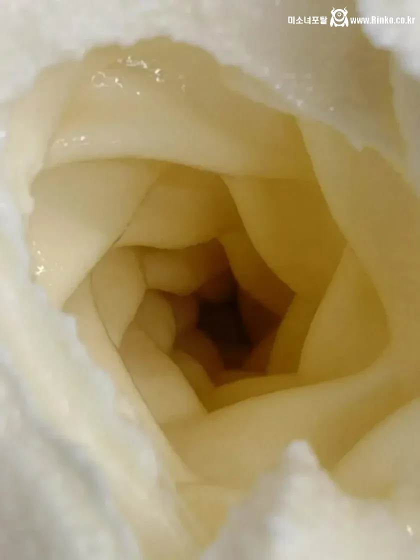 소프트 아이스크림 콘의 내부