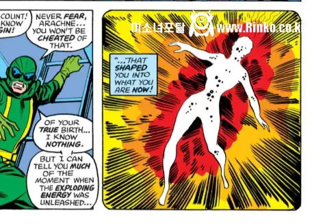 이름을 지키기 위해 만든 캐릭터의 최후