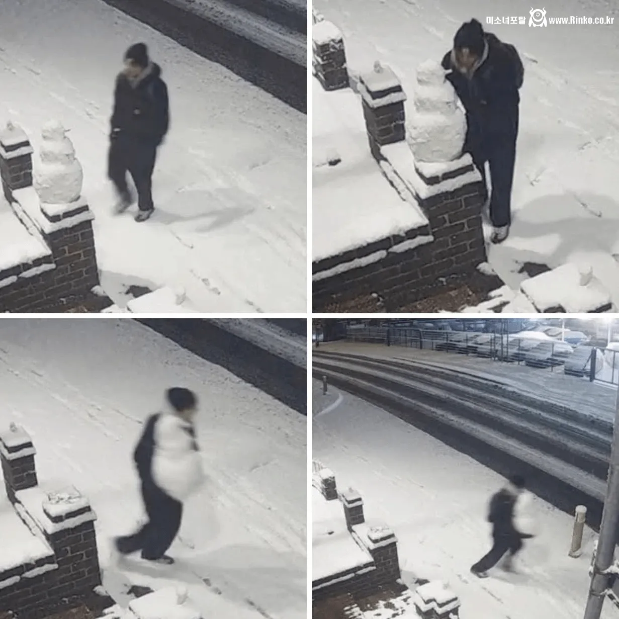 서울 주택가에서 스폰지밥 플랭크톤 등장