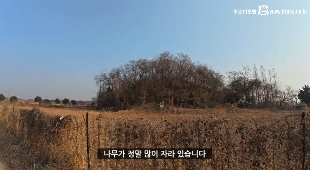 삼국지 손견의 무덤을 찾아간 유튜버