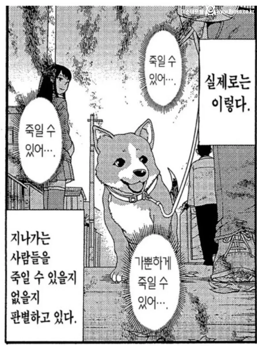 강아지가 우리를 보며 하는 생각