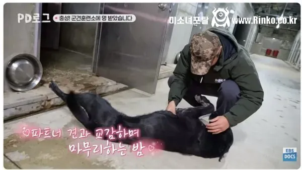 육군에서 보급중인 솜패딩