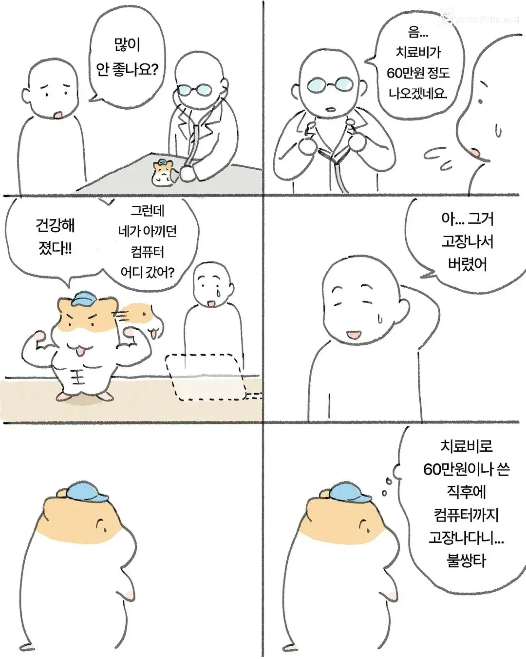 어쩐지 건강해진 햄스터