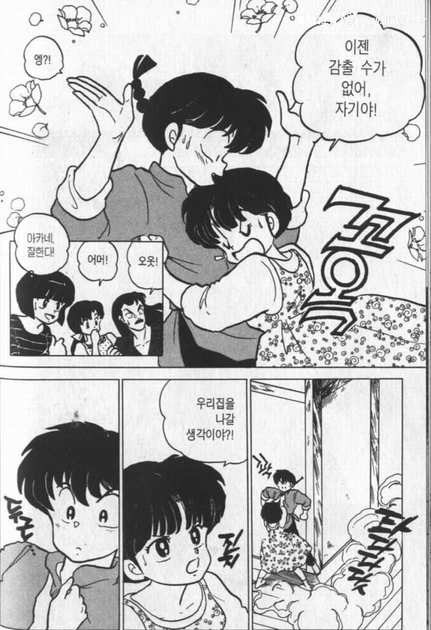 애니메이션이 조져놨다는 란마 여주인공