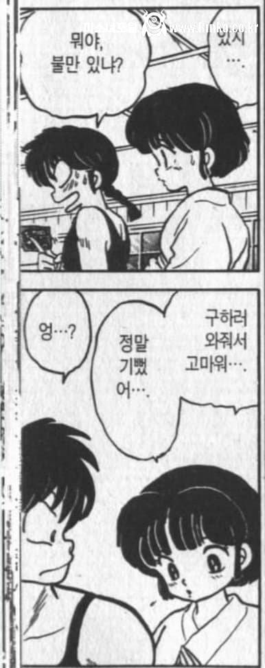 애니메이션이 조져놨다는 란마 여주인공