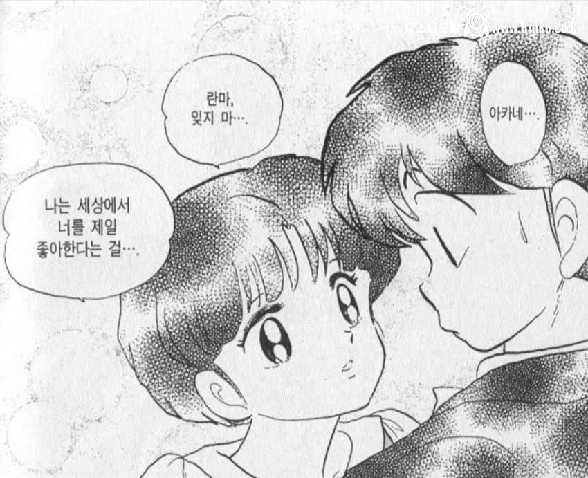 애니메이션이 조져놨다는 란마 여주인공