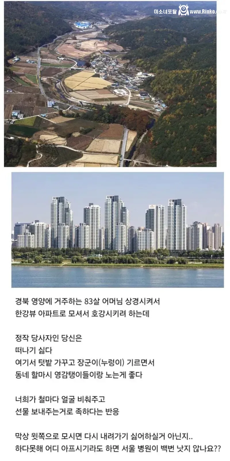 시골에 사는 부모님 한강뷰 아파트로 모시려는데 거절