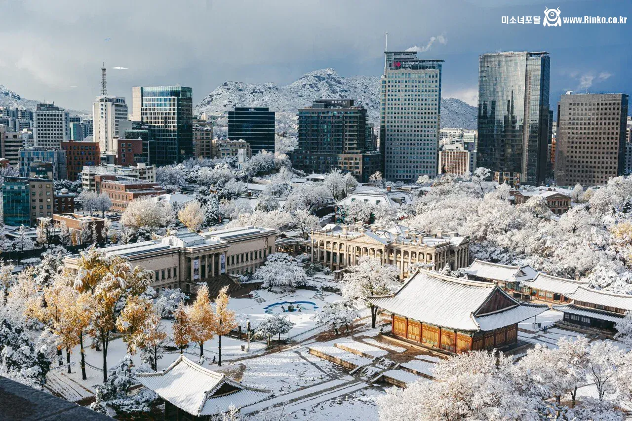 오늘자 눈 내린 경복궁 풍경