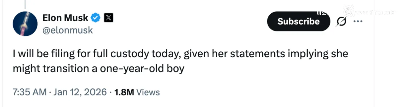 일론 머스크가 원나잇하고 낳았던 아들 근황