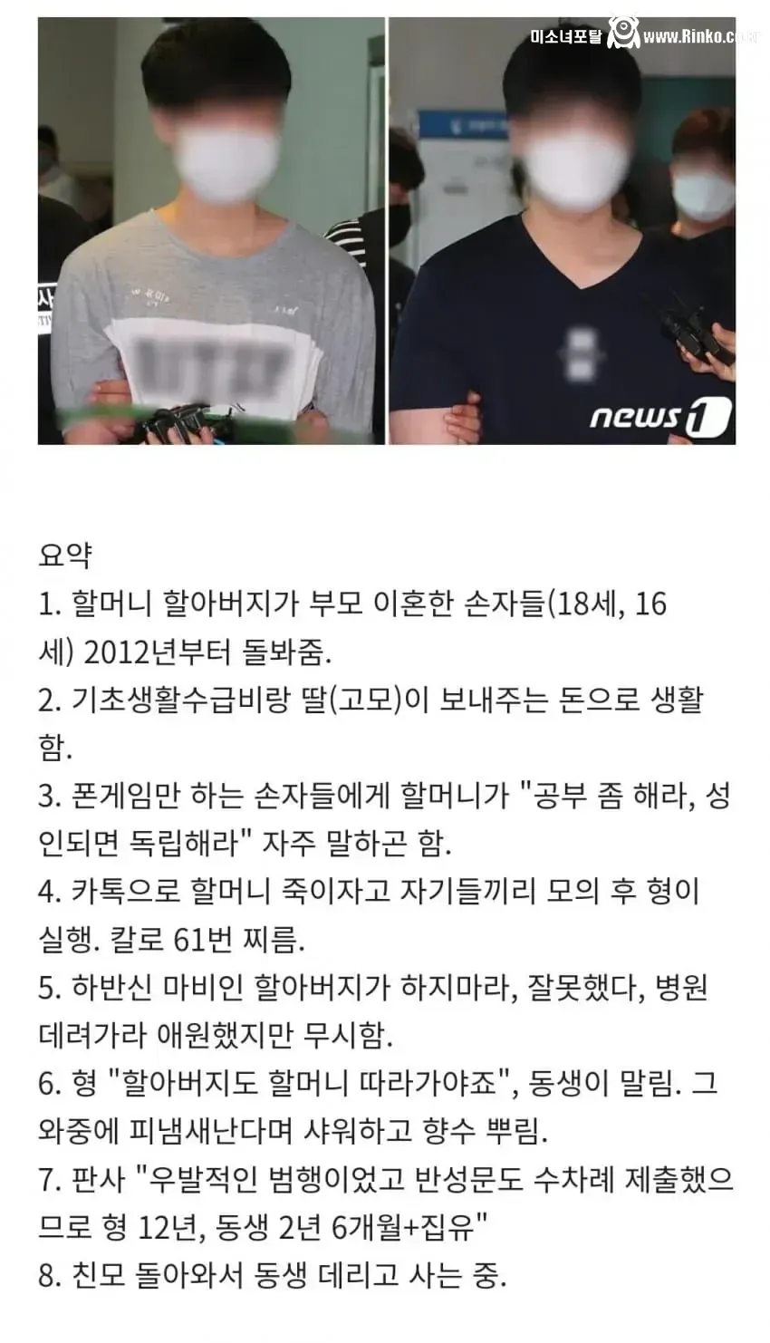 할머니 살해한 손자들