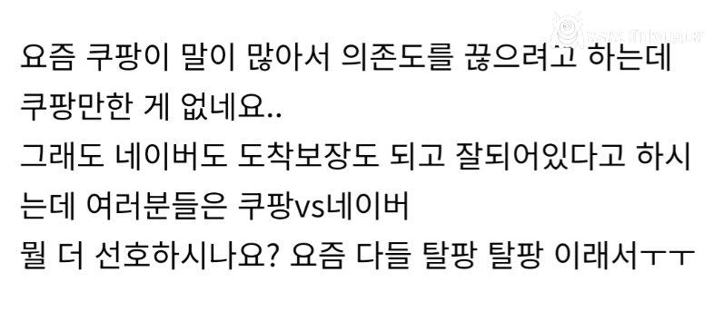 국대최대 맘카페 쿠팡 VS 네이버 상황