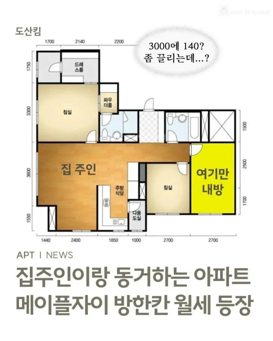 강남 월 140만원내고 집주인과 동거하는 월세 등장