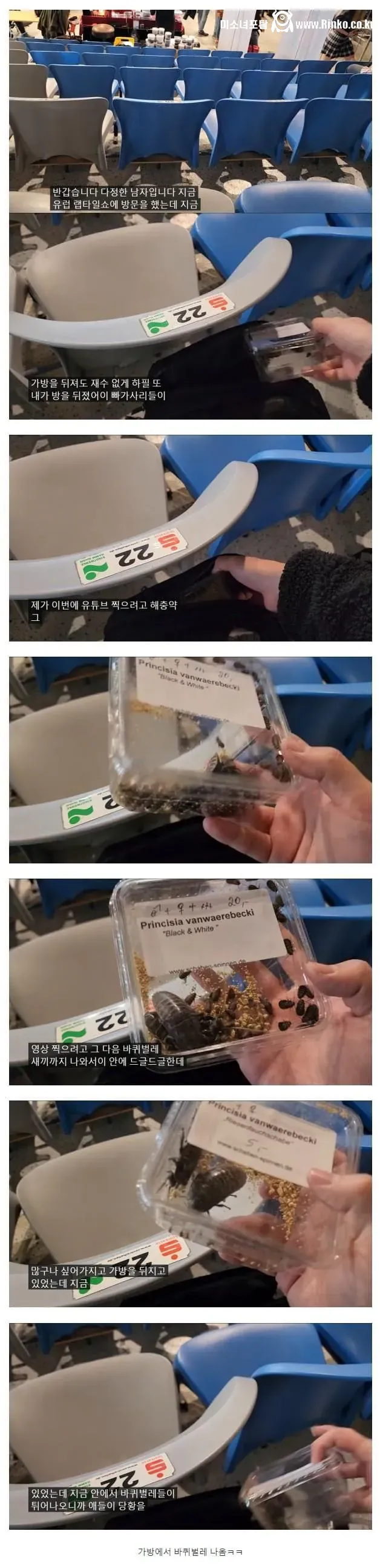 (혐) 유럽에서 강도당했다가 강도한테 욕먹은 생물 유튜버