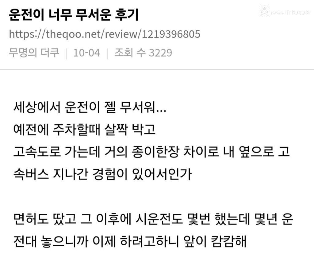 운전을 너무 무서워 하는 사람들이 있음