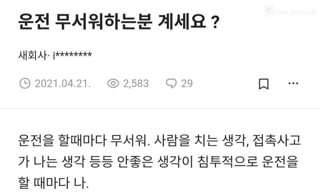 운전을 너무 무서워 하는 사람들이 있음