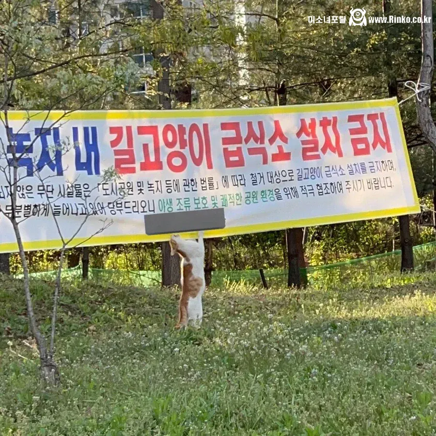 길고양이 급식소 금지현수막에 빡친 캣x