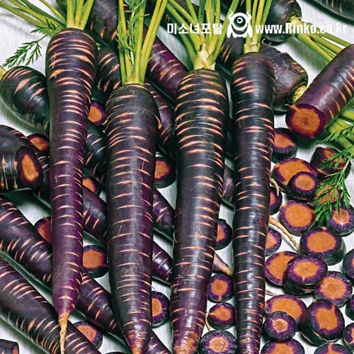 겉과 속이 다른 신기한 당근