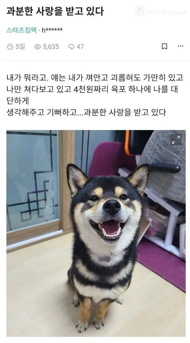 "과분한 사랑을 받고 있다"