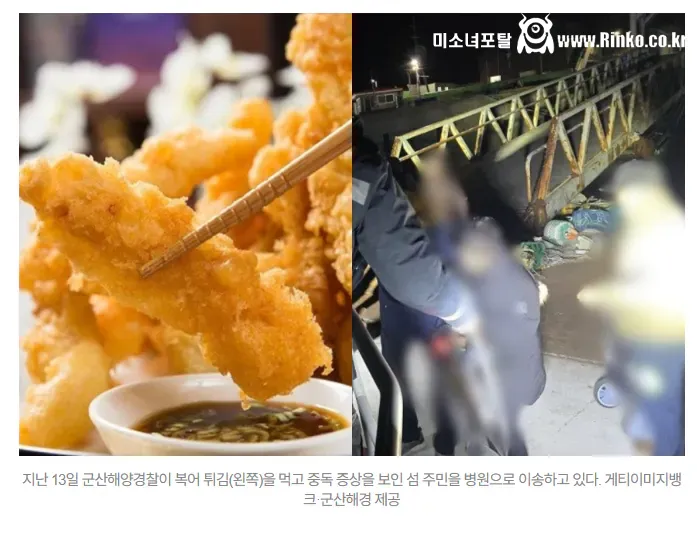 섬마을 발칵…‘이 생선’ 튀겨먹고 무더기 중독
