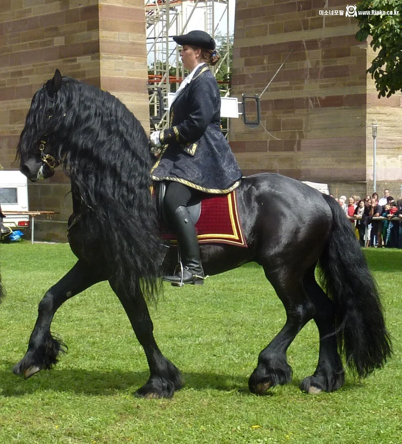 탈모갤에서 부러워할 듯한 말