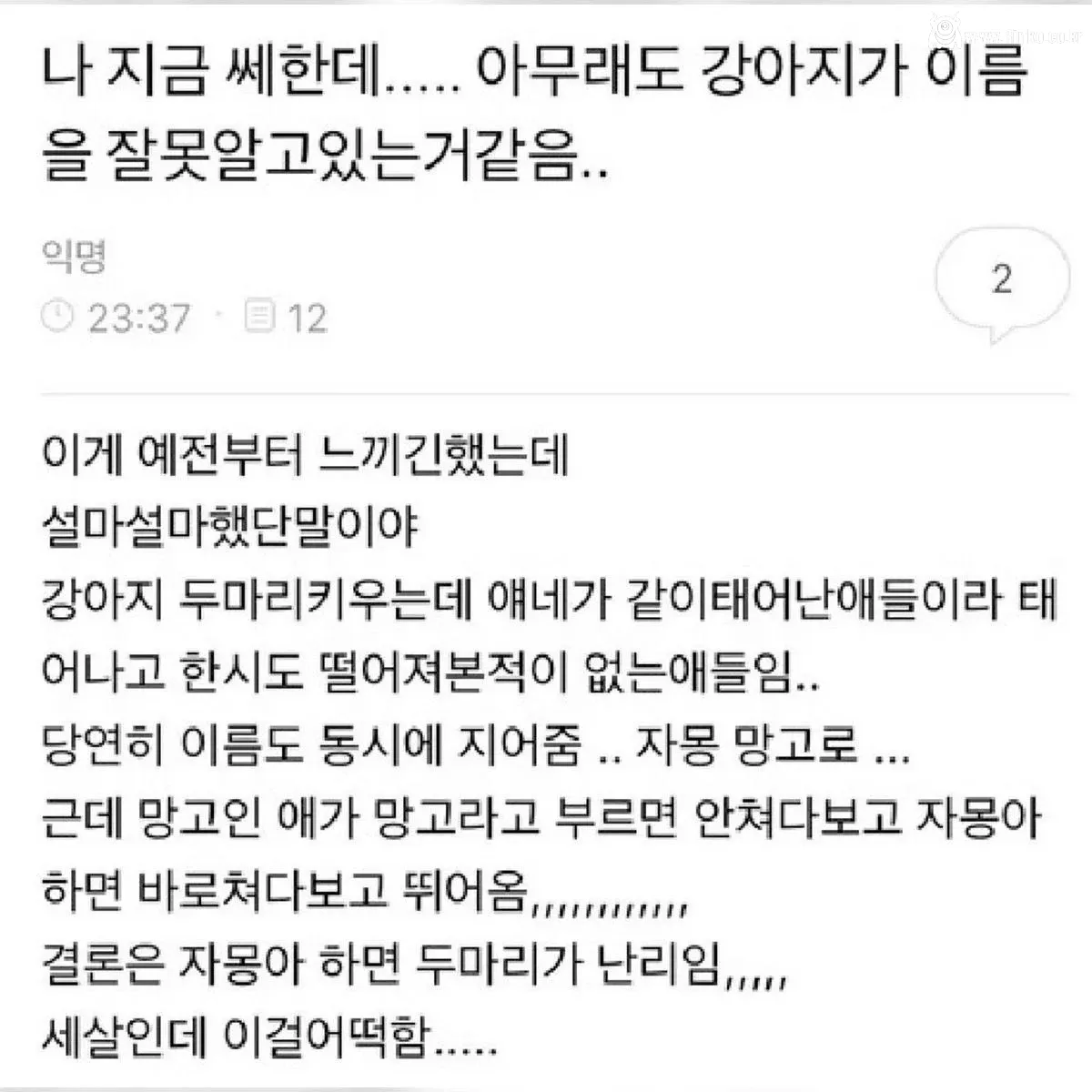아무래도 강아지가 이름을 잘못 알고 있는 거 같음