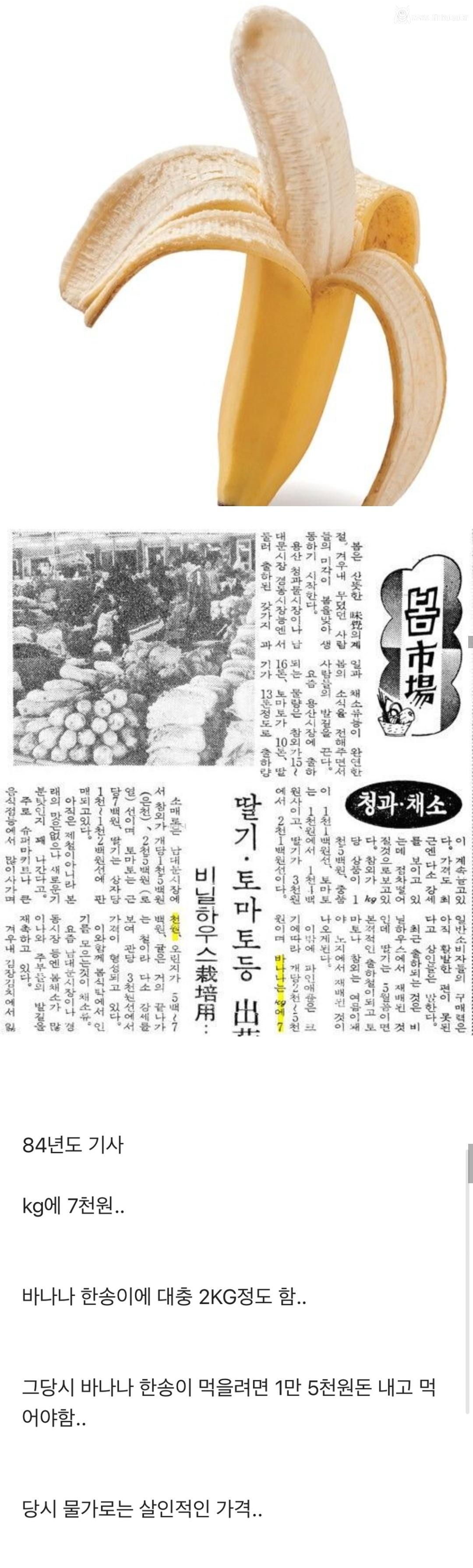 부잣집이나 먹던 80년대 바나나 가격