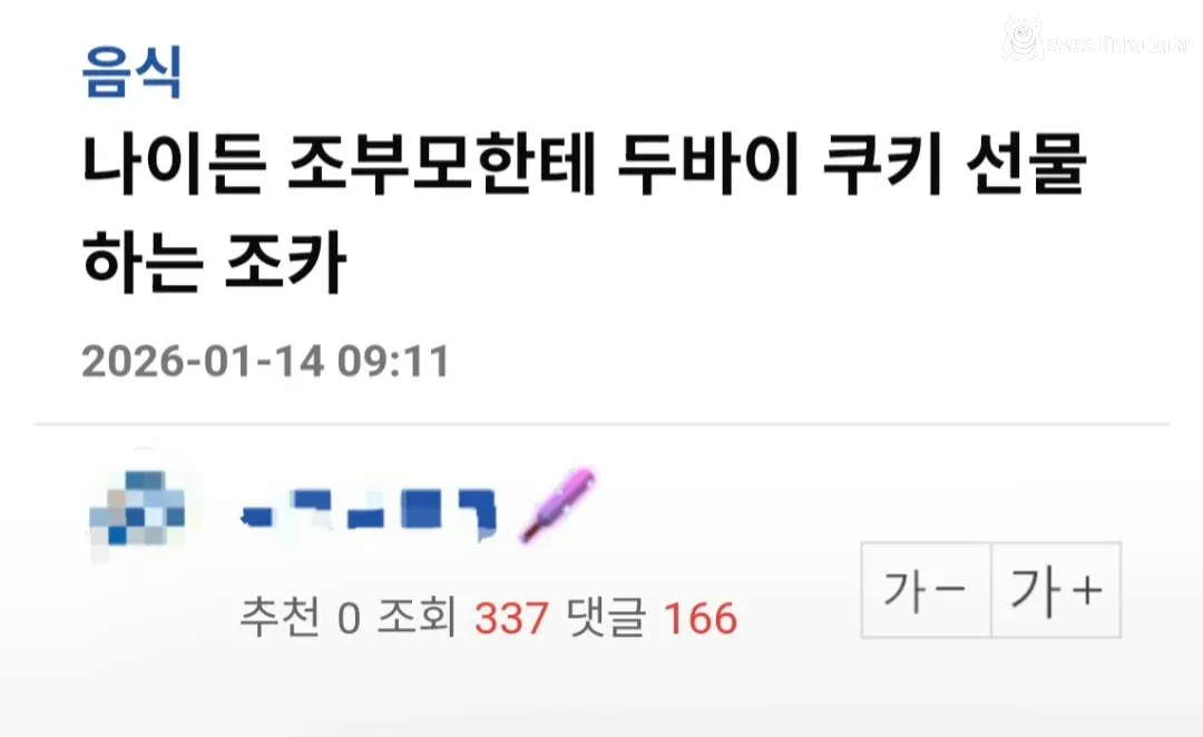 86살 할머니에게 두쫀쿠 갖다드린 손자