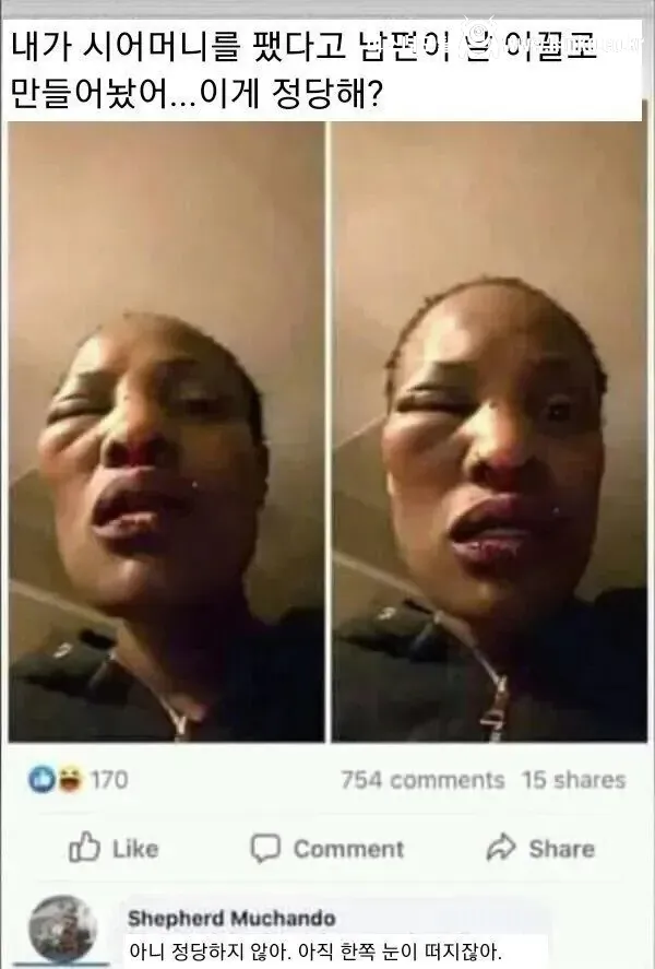 남편한테 개 쳐맞은 아내