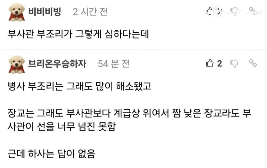 군대에서 하사가 병사보다 힘들다는 이유
