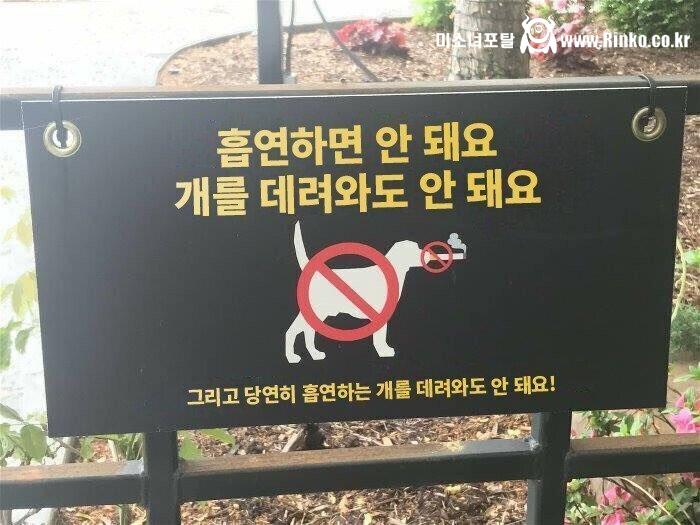 의외로 데리고 다니면 안된다는 동물