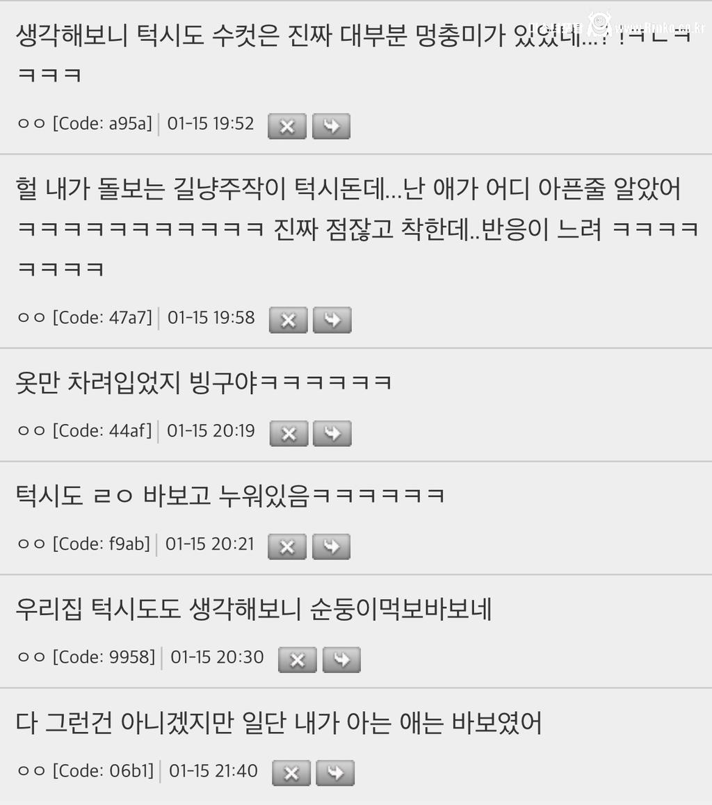 야 원래 턱시도 고양이는 좀.. 바보야?