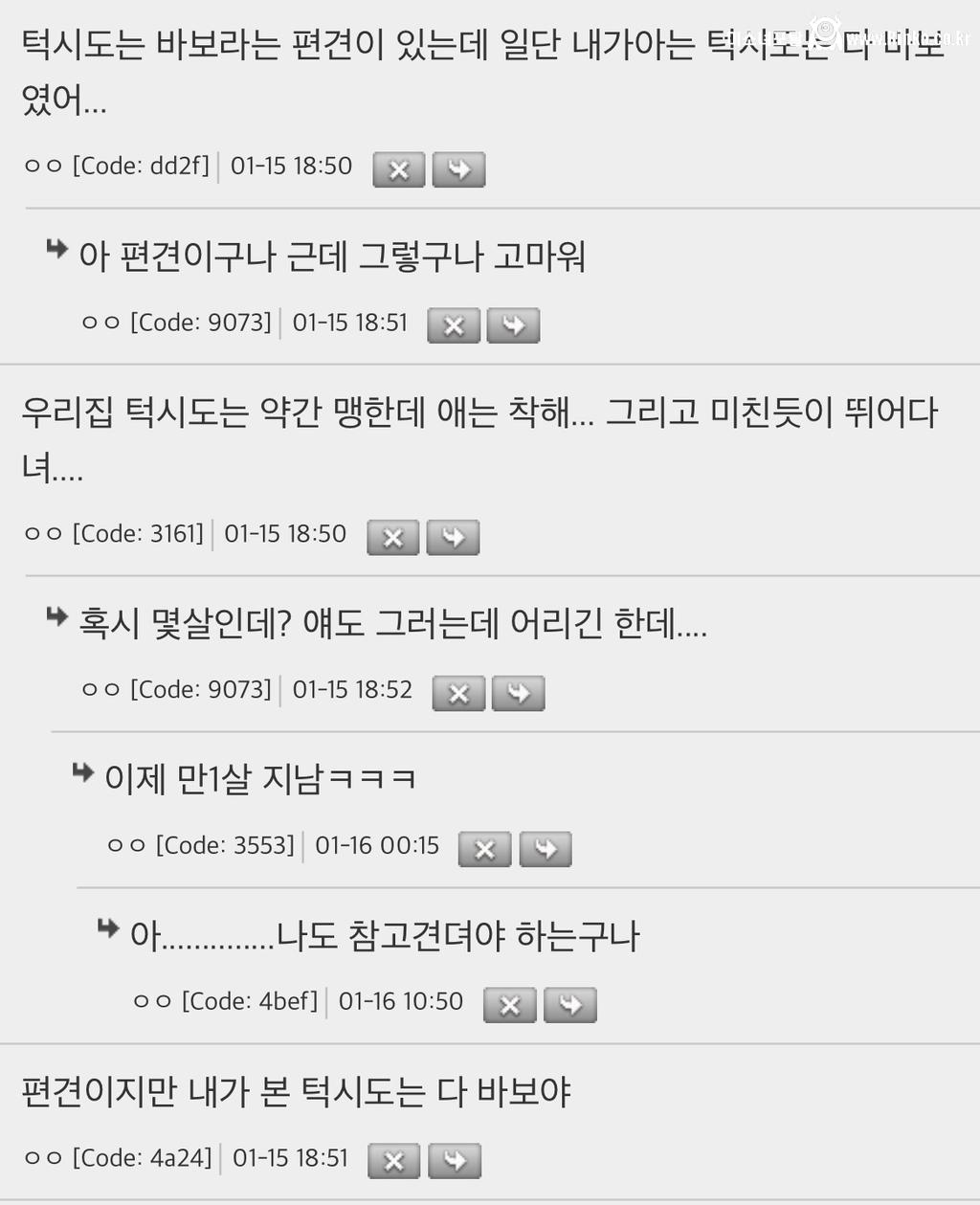 야 원래 턱시도 고양이는 좀.. 바보야?