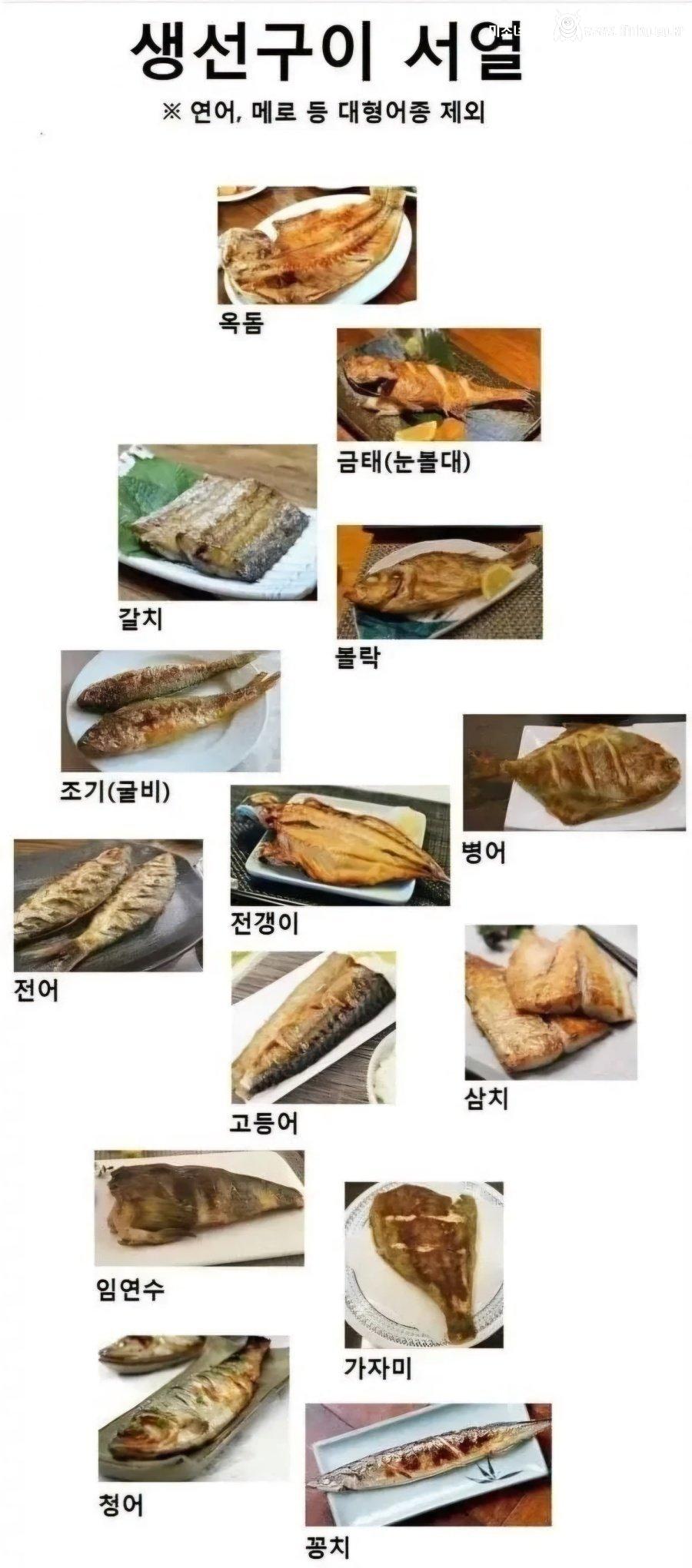 생선구이 서열표