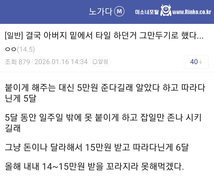 아버지한테 타일 배우다가 일 ㅈ같아서 그만둘거라는 디시인