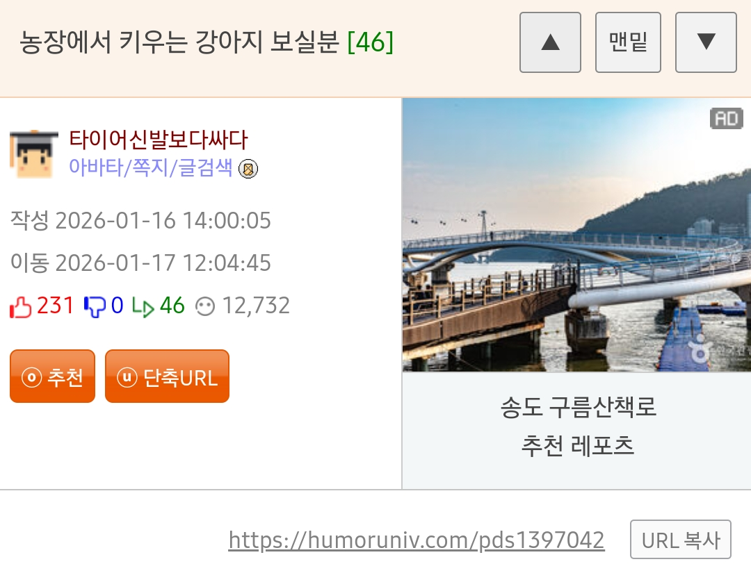 웃대인이 농장에서 키운다는 강아지