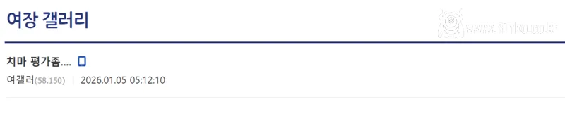 "치마 평가좀.."