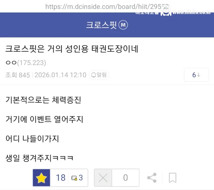 크로스핏은 거의 성인용 태권도장이네