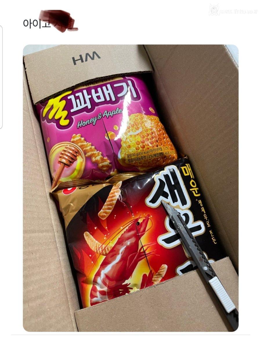 순간 뇌정지 제대로 오는 짤