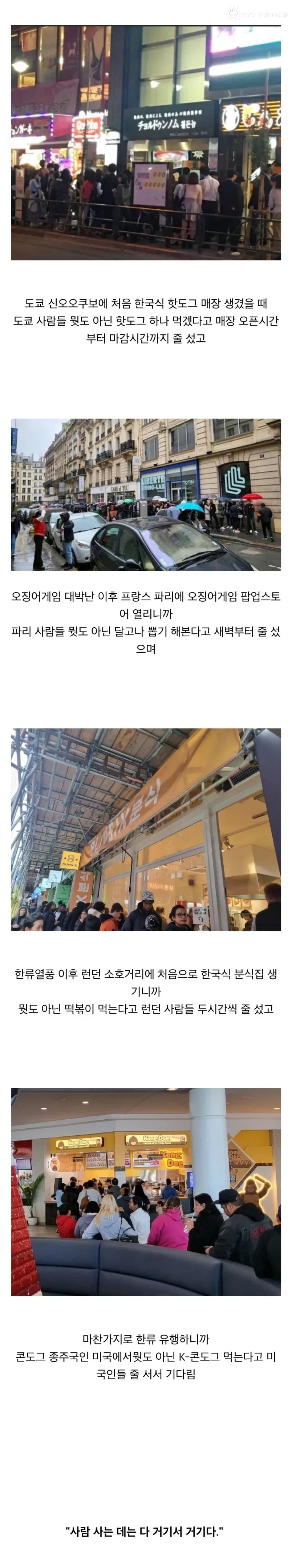 "한국은 유독 유행에 민감하고 유난떤다"