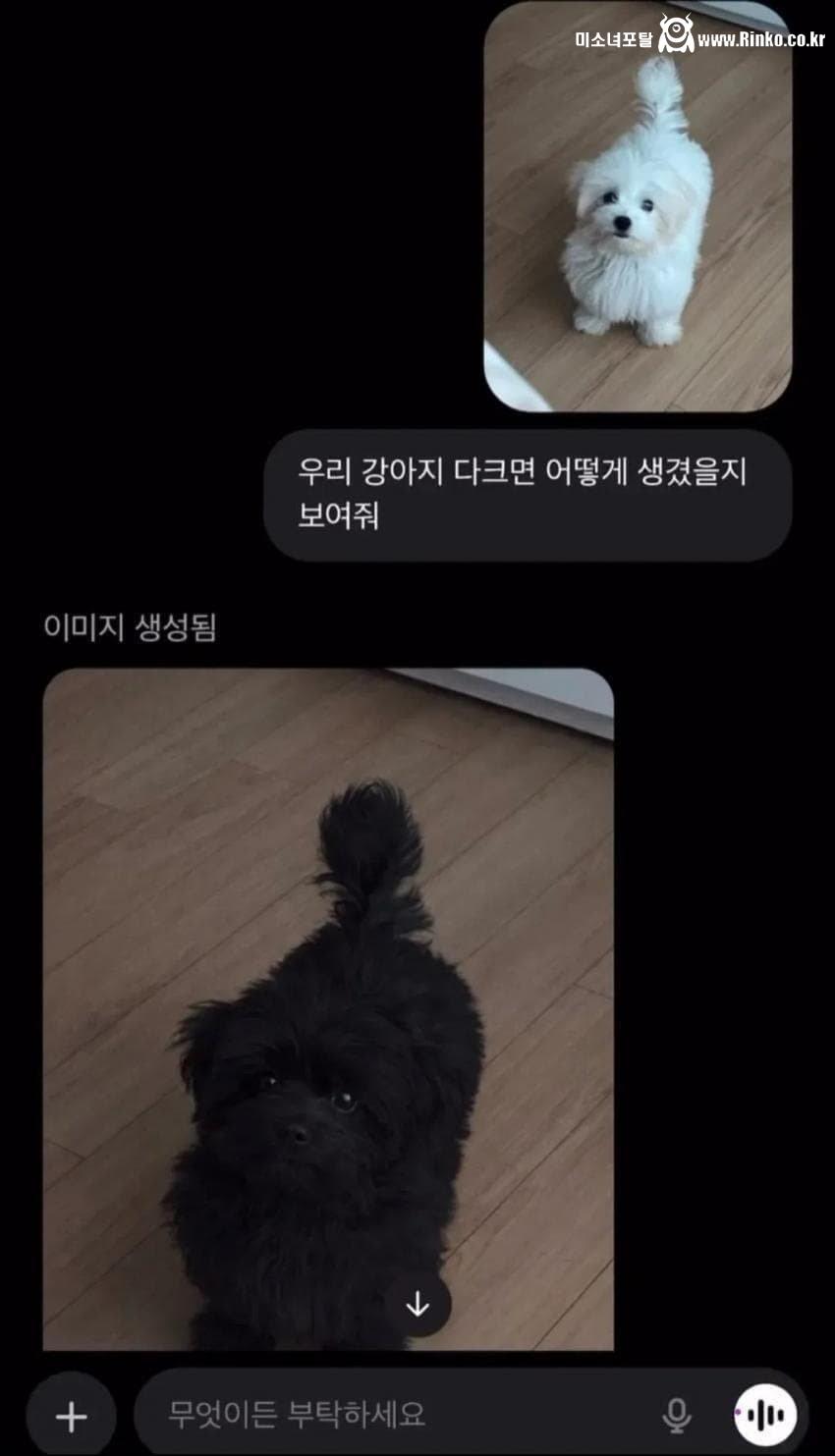 AI야 우리 강아지 다크면 어떤 모습일지 보여줘