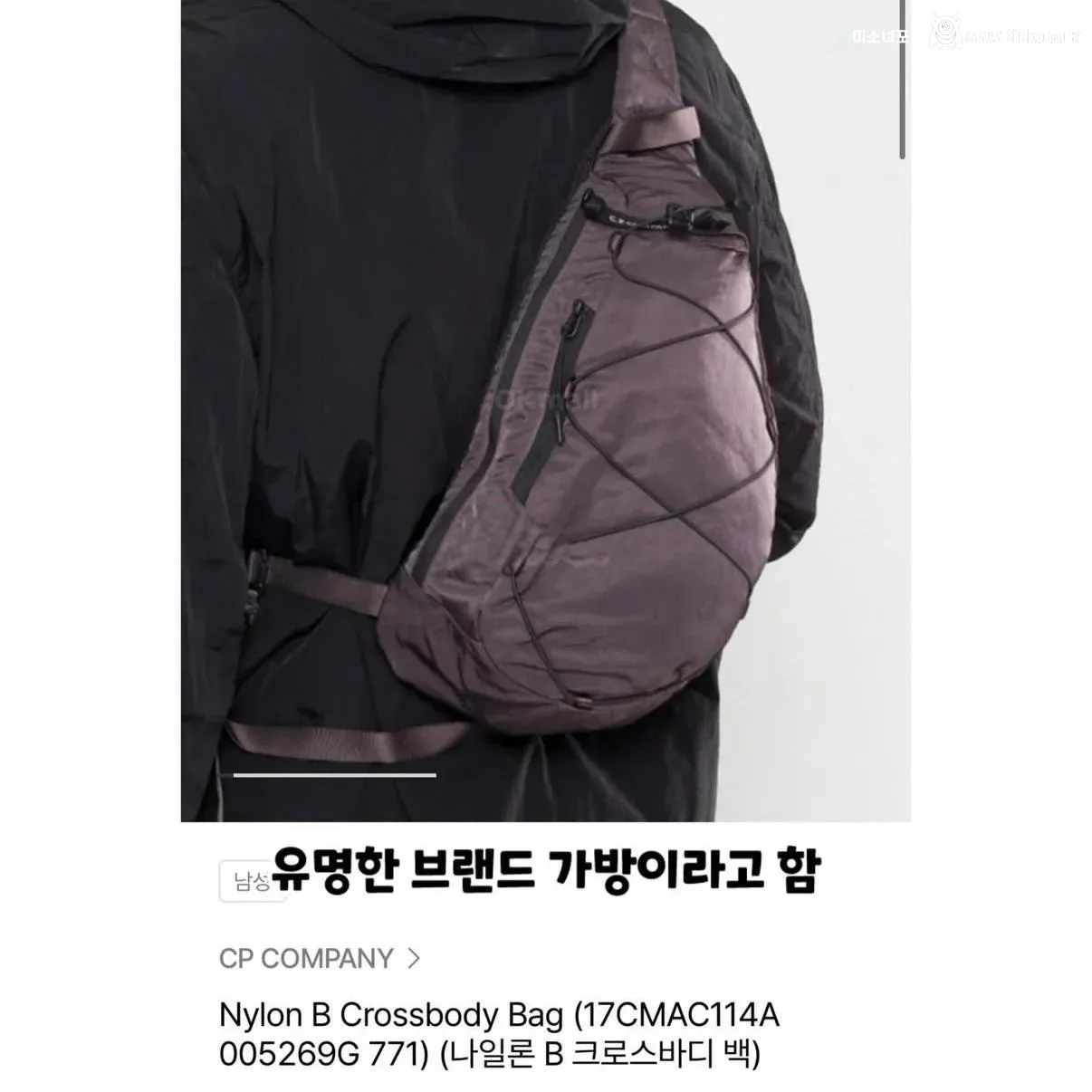 강아지 실종한 견주의 후원금 사용내역 논란