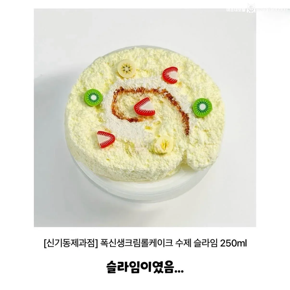 강아지 실종한 견주의 후원금 사용내역 논란