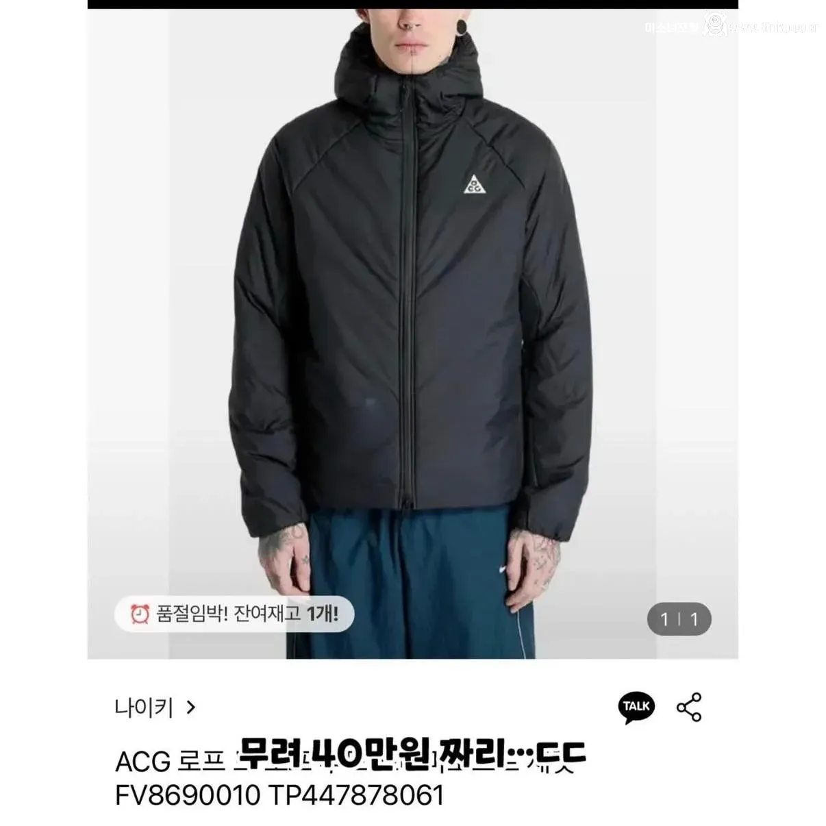 강아지 실종한 견주의 후원금 사용내역 논란